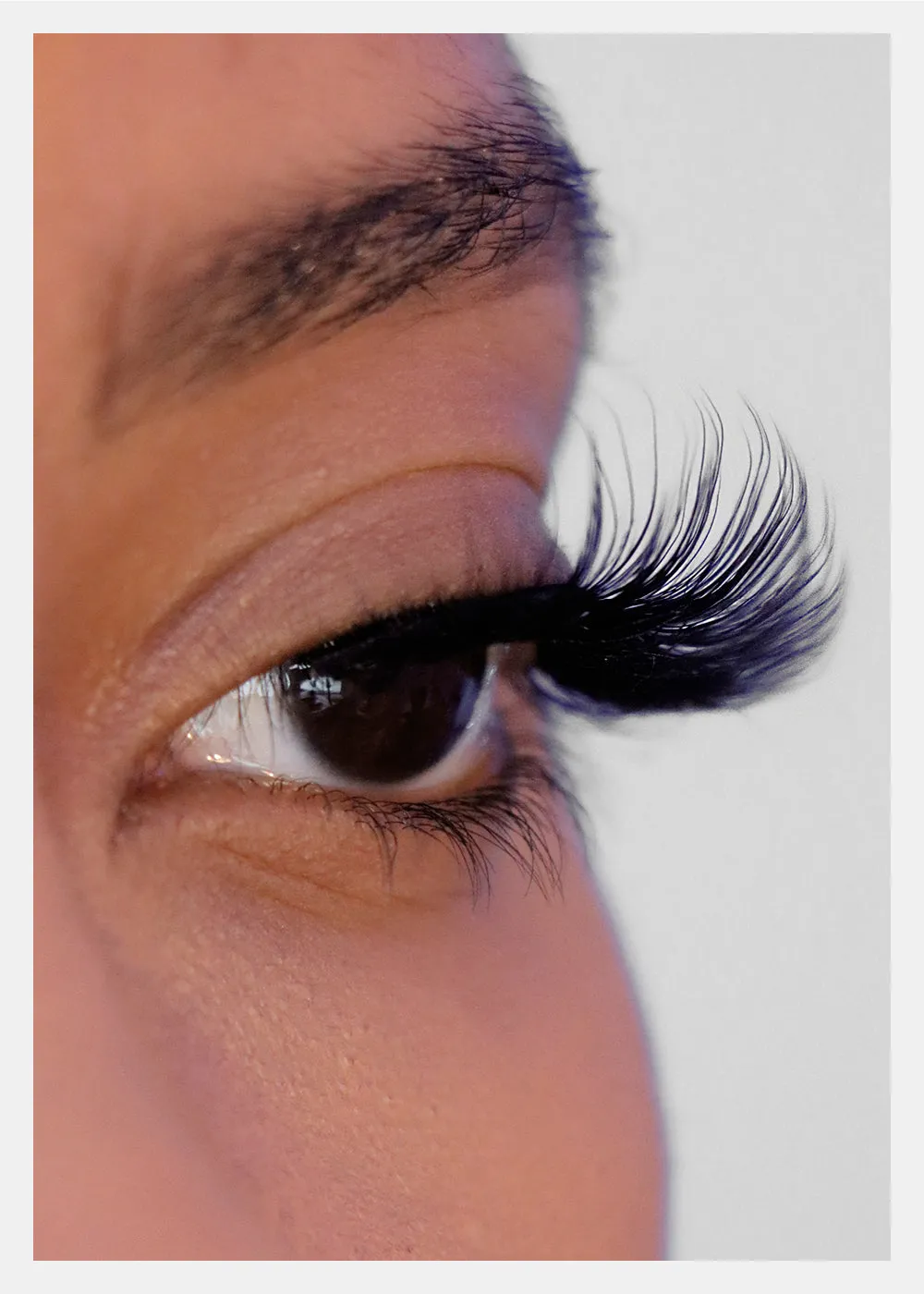 D-LUX Curl Premium Faux Mink Lashes - Josephine