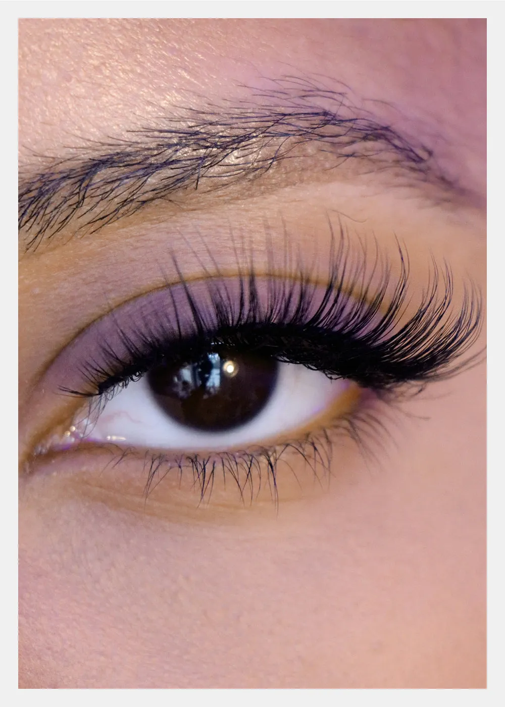 D-LUX Curl Premium Faux Mink Lashes - Josephine