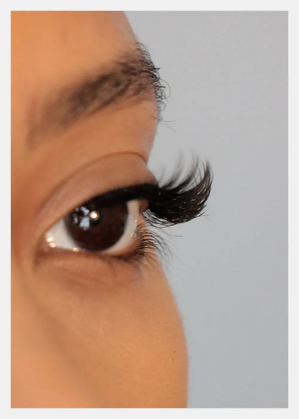 D-LUX Curl Premium Faux Mink Lashes - Lucille