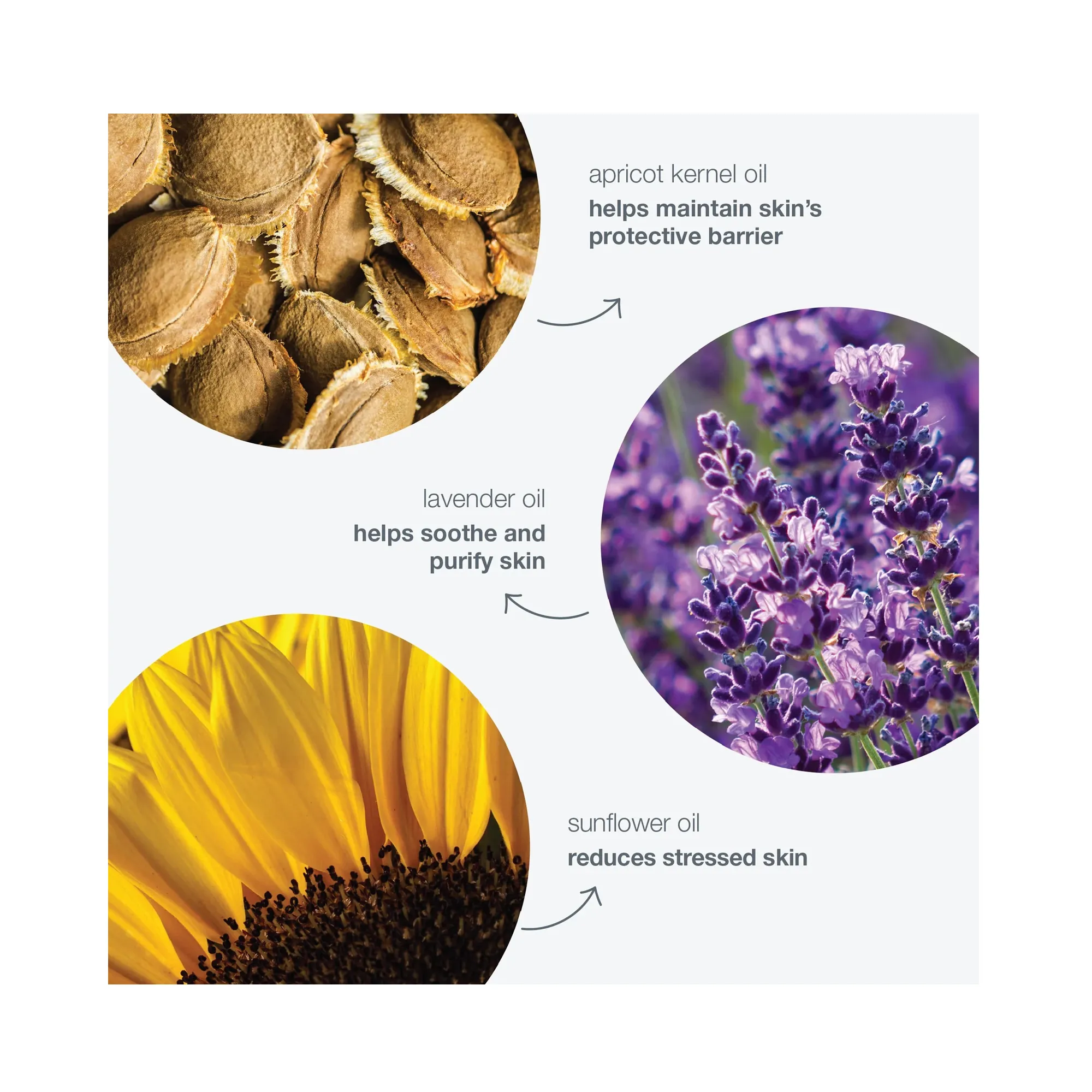 Dermalogica Precleanse
