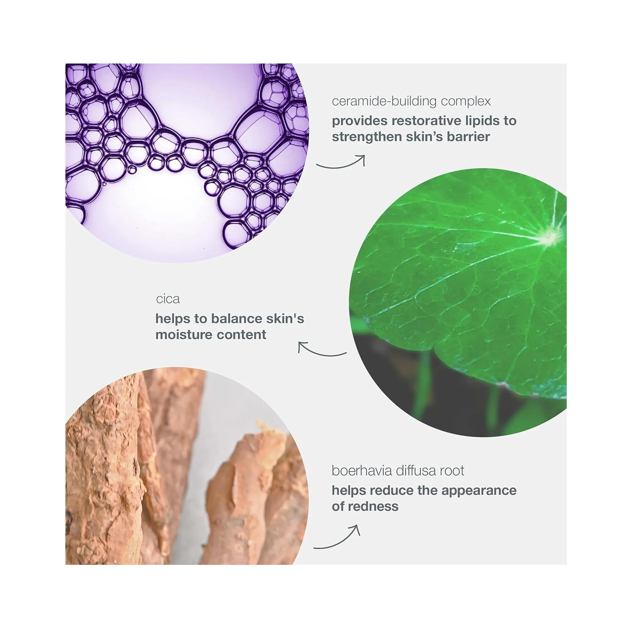 Dermalogica Stabilizing Repair Cream