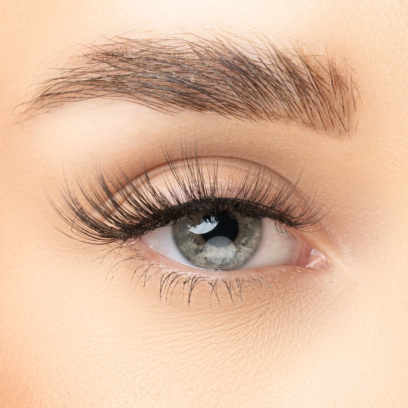 Eye Candy Signature Lash Collection - Leah - False Eyelashes