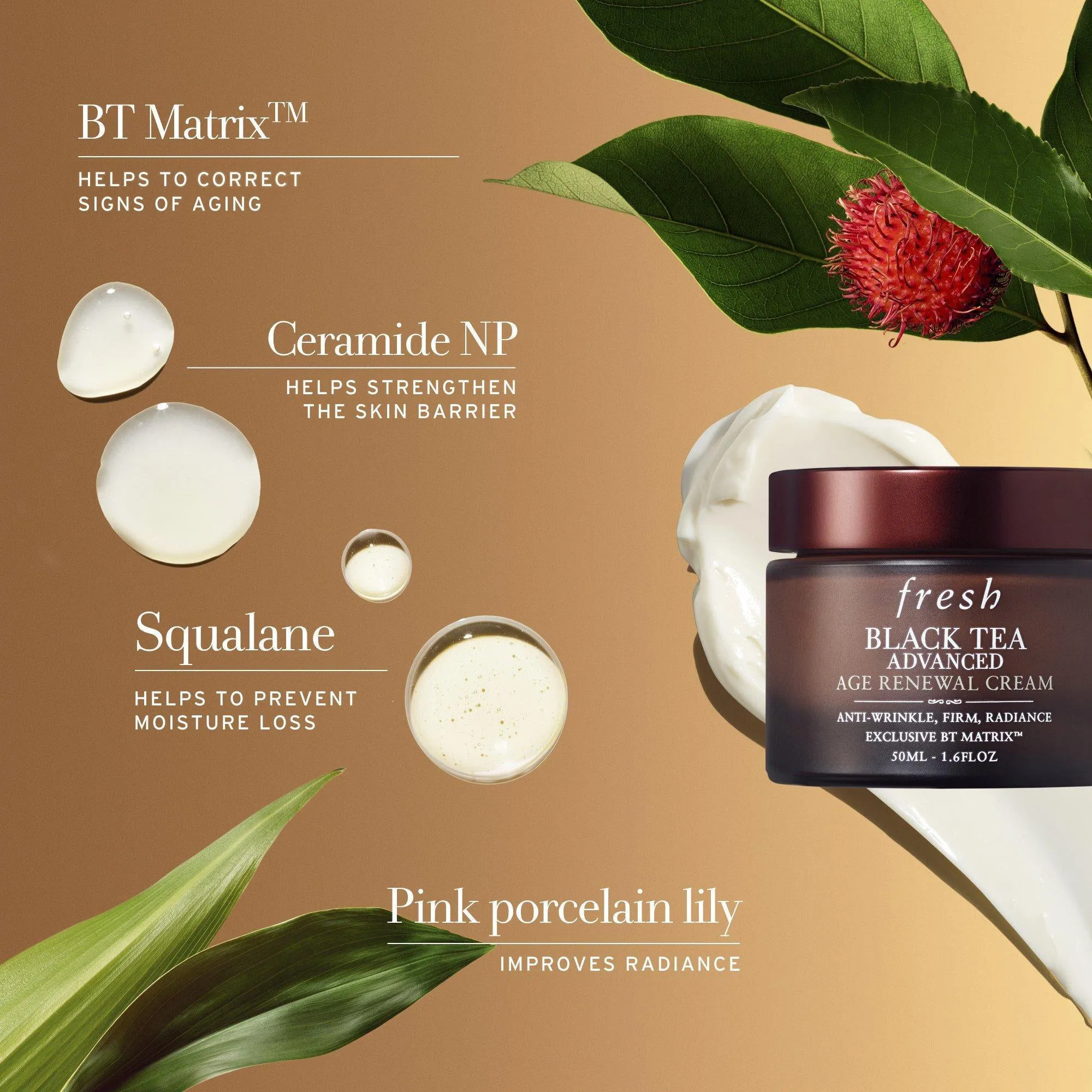 Fresh Black Tea Advanced Age Renewal Cream 1.7oz