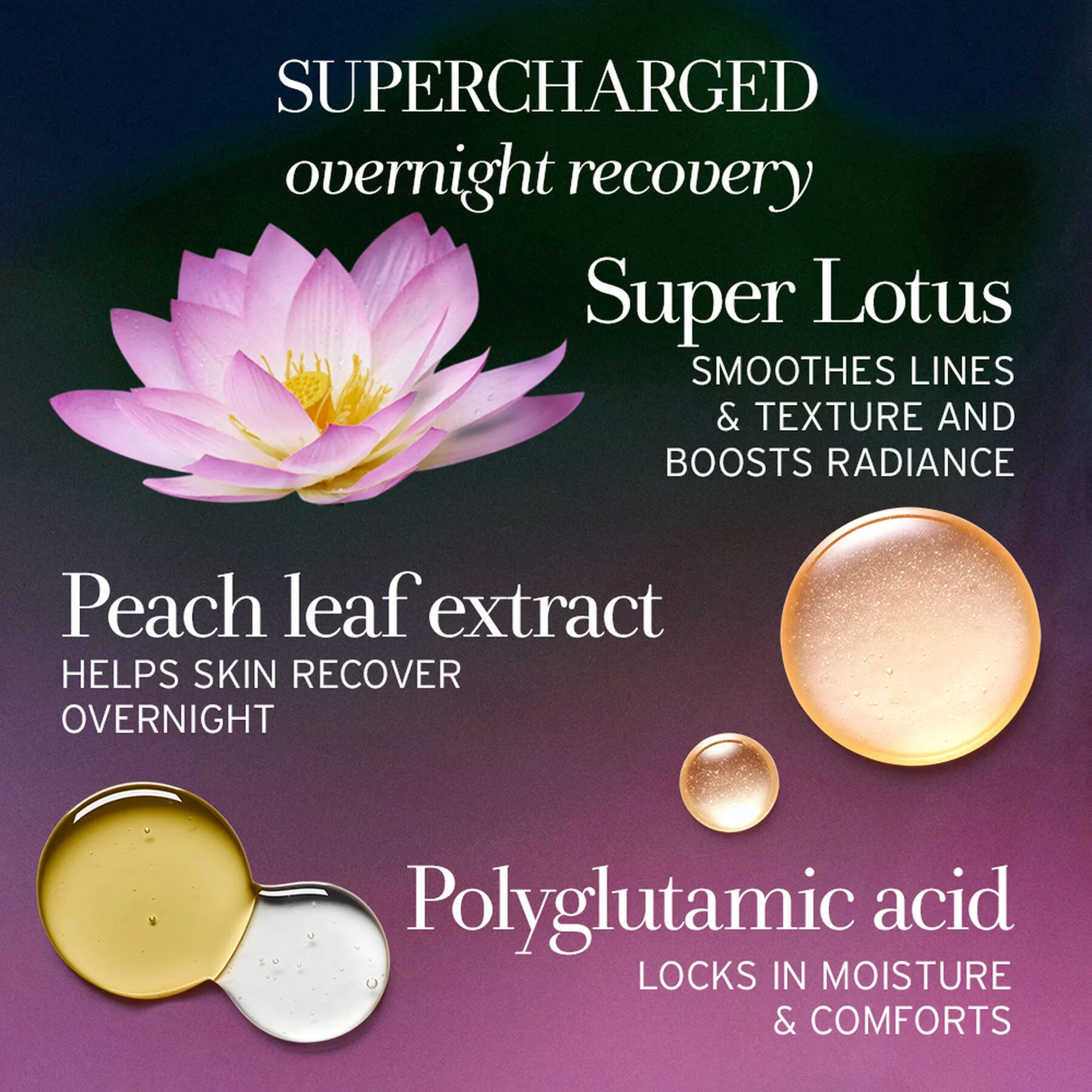Fresh Lotus Youth Preserve Dream Face Cream 1.7oz