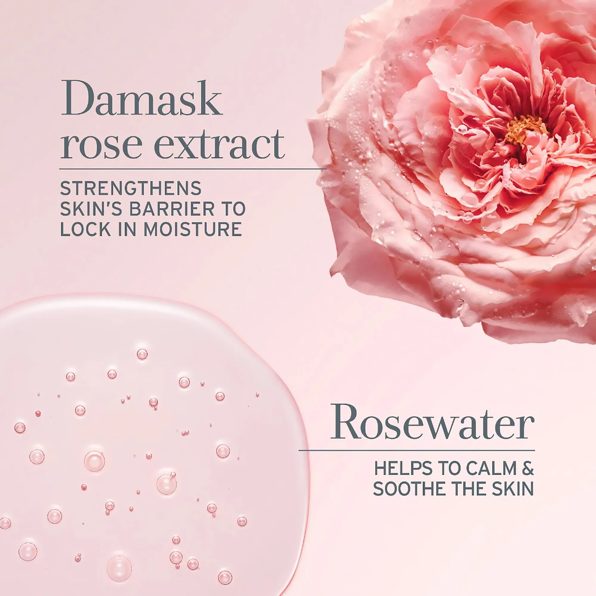 Fresh Rose Face Cream 1.6oz