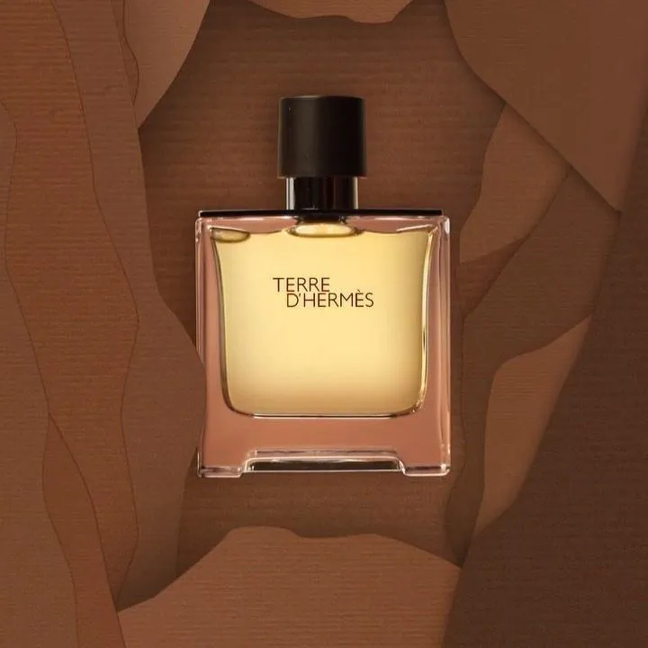 HERMS Terre d'HERMS Hair & Body Shower Gel