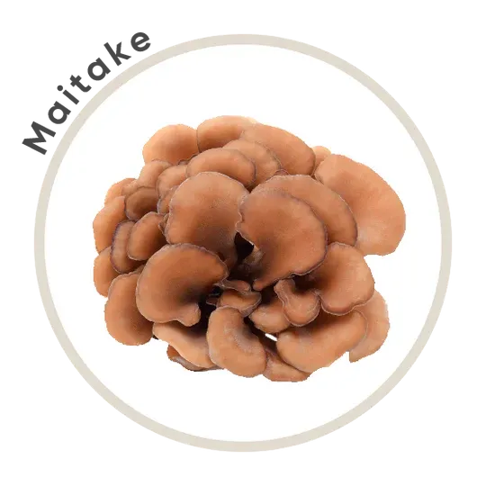 Instant 7 Mushroom Coffee BIG SHOT -  La Republica
