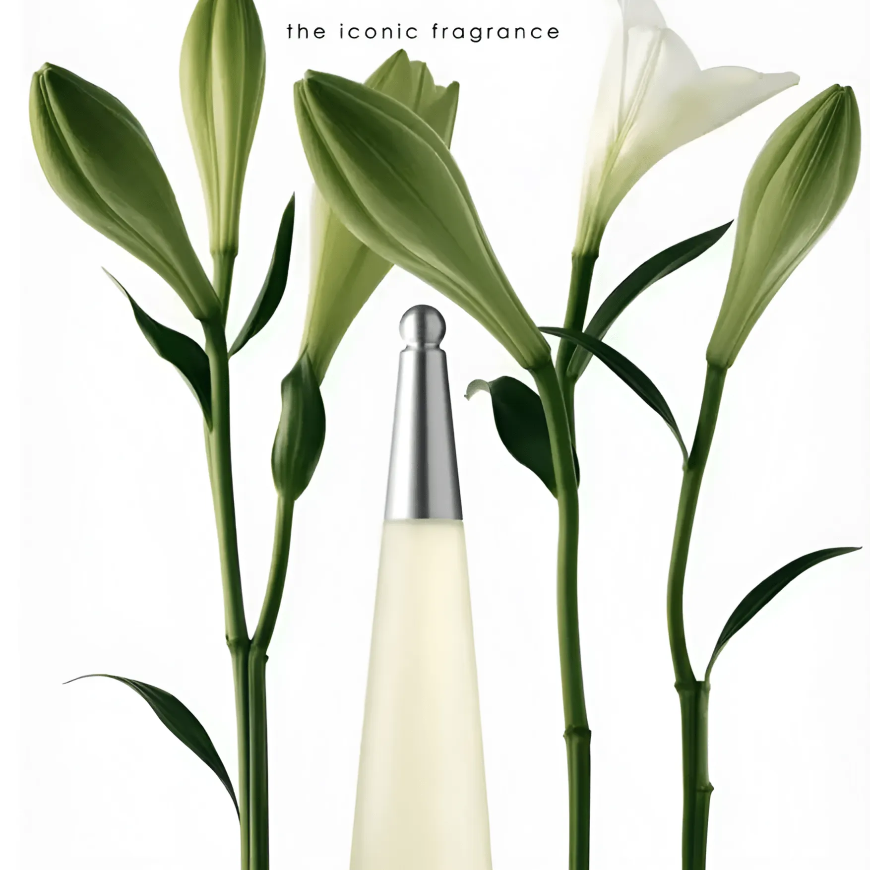 Issey Miyake L'Eau D'Issey Moisturizing Shower Cream
