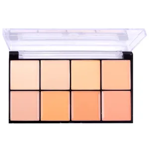 J.Cat Master Class Face/Fx Color Palette & Pro Makeup Tool Mcp101