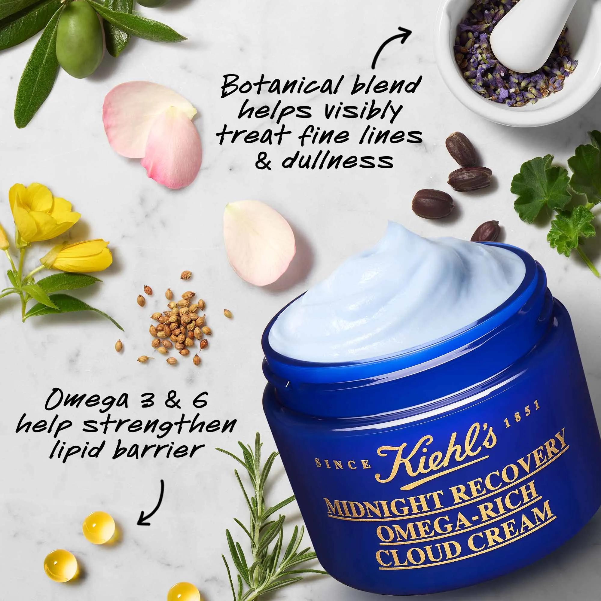 Kiehl's Midnight Recovery Omega Rich Cloud Cream