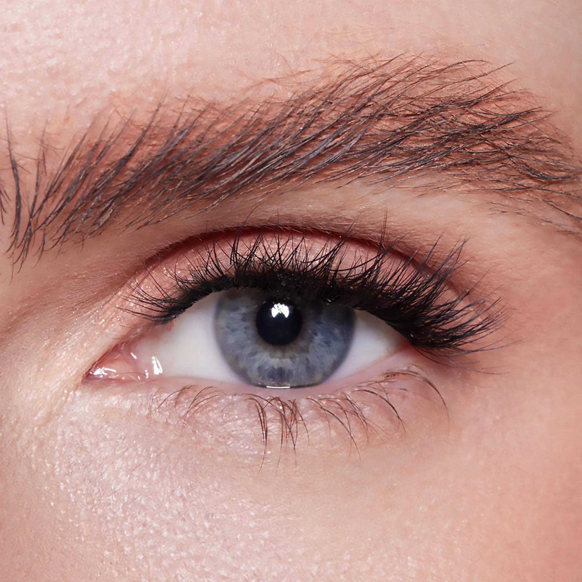 Lilly Lashes Espionage 3D Undercover Lash System