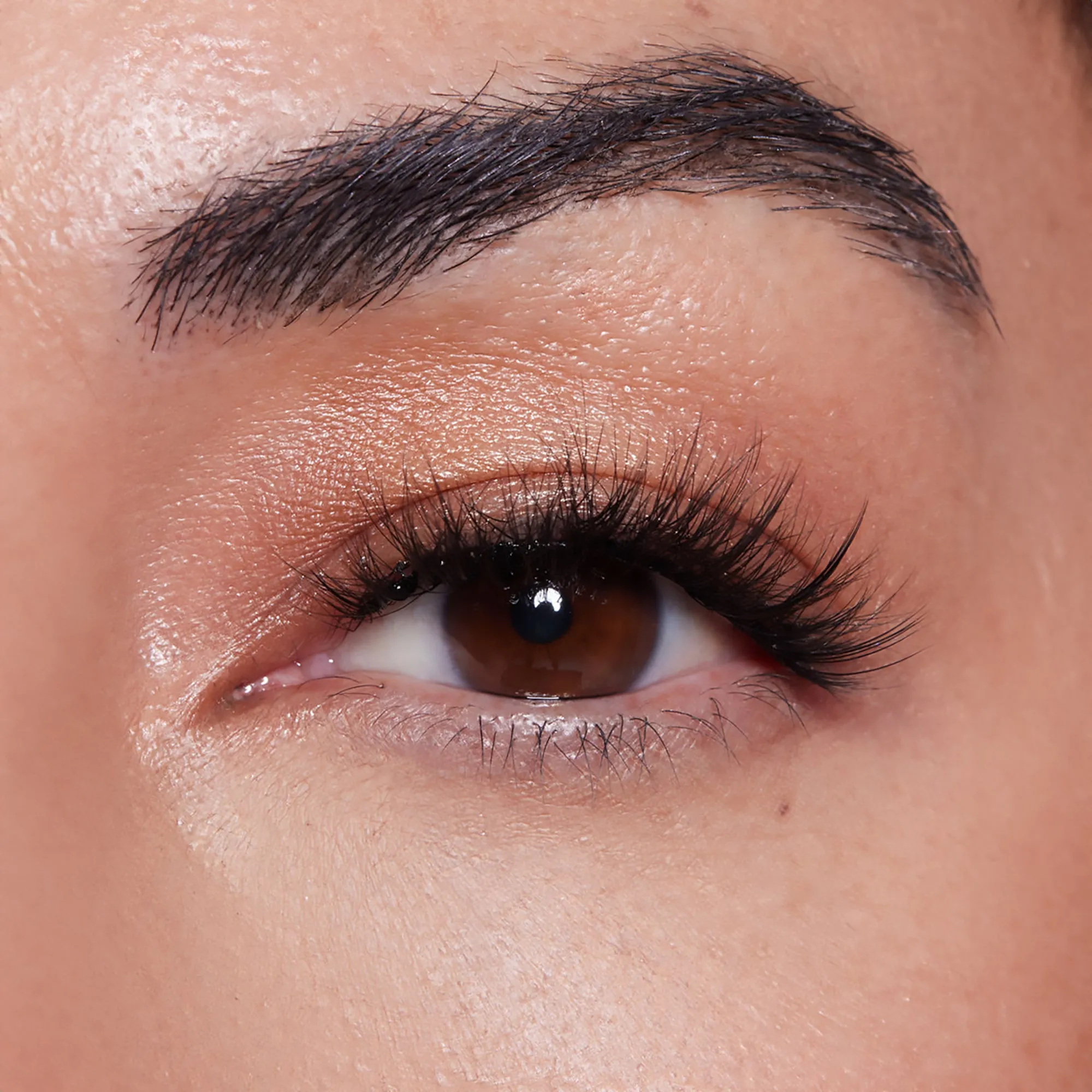 Lilly Lashes Secret Agent 3D Undercover Lash System