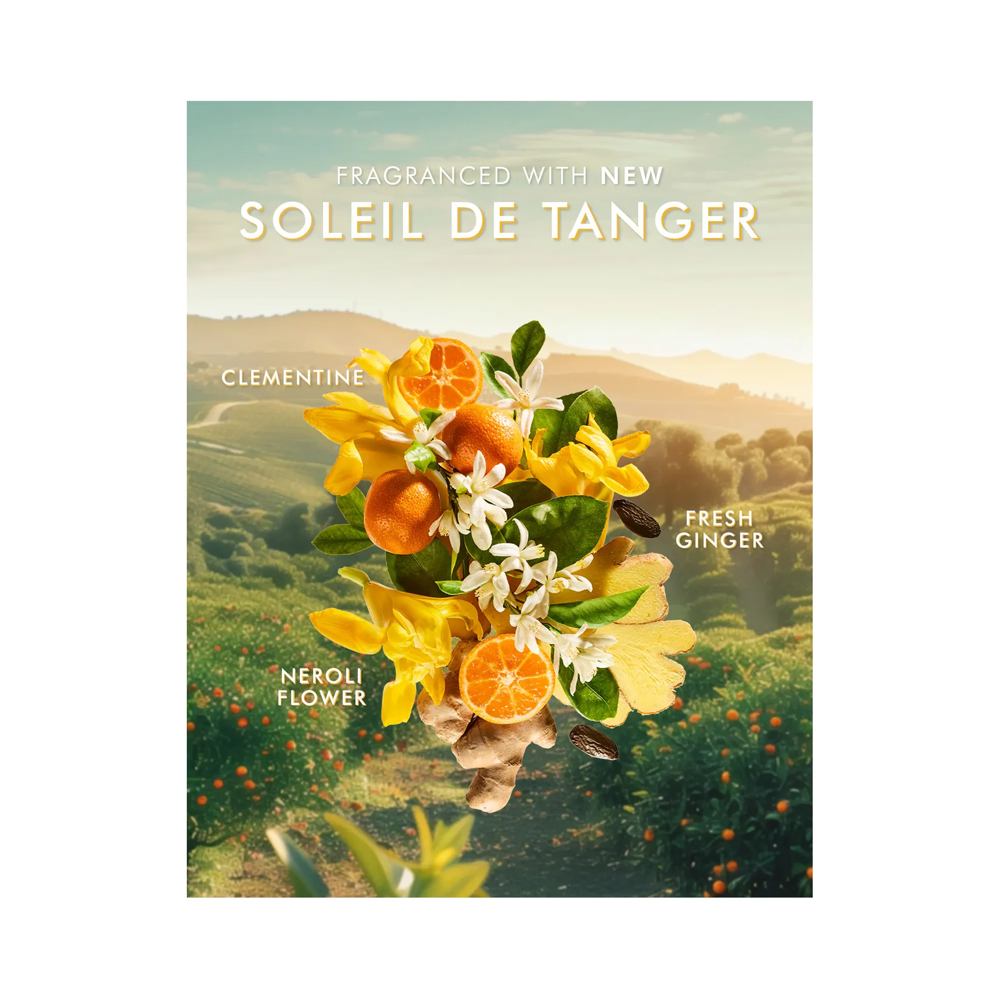 Moroccanoil Hand Cream - Soleil De Tanger