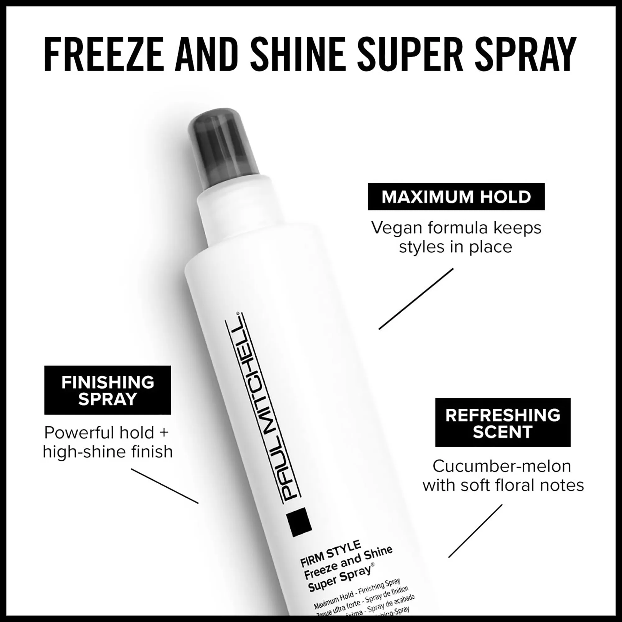 Paul Mitchell  Freeze and Shine Super Spray 33oz