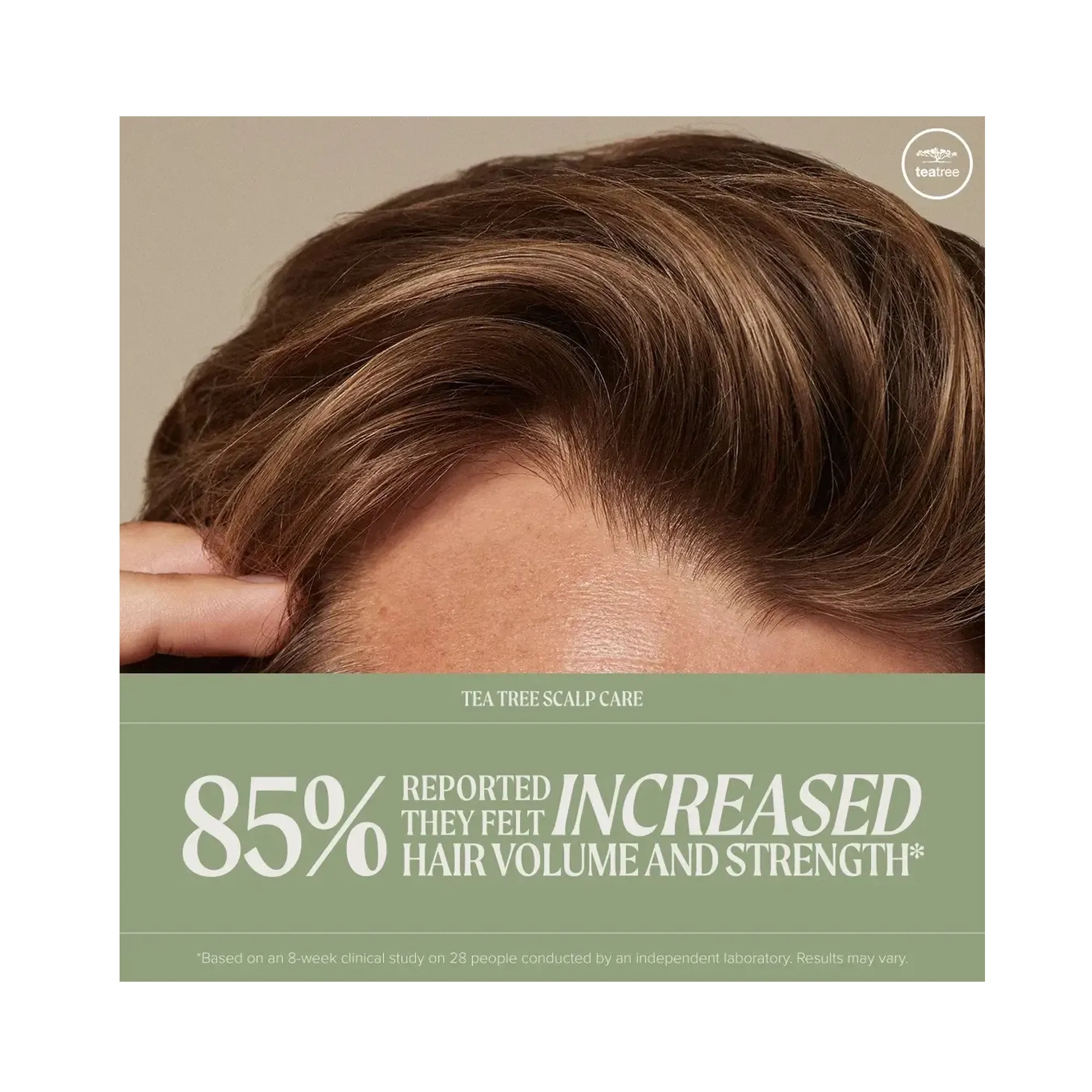 Paul Mitchell Tea Tree Scalp Care Regeniplex Shampoo 10oz