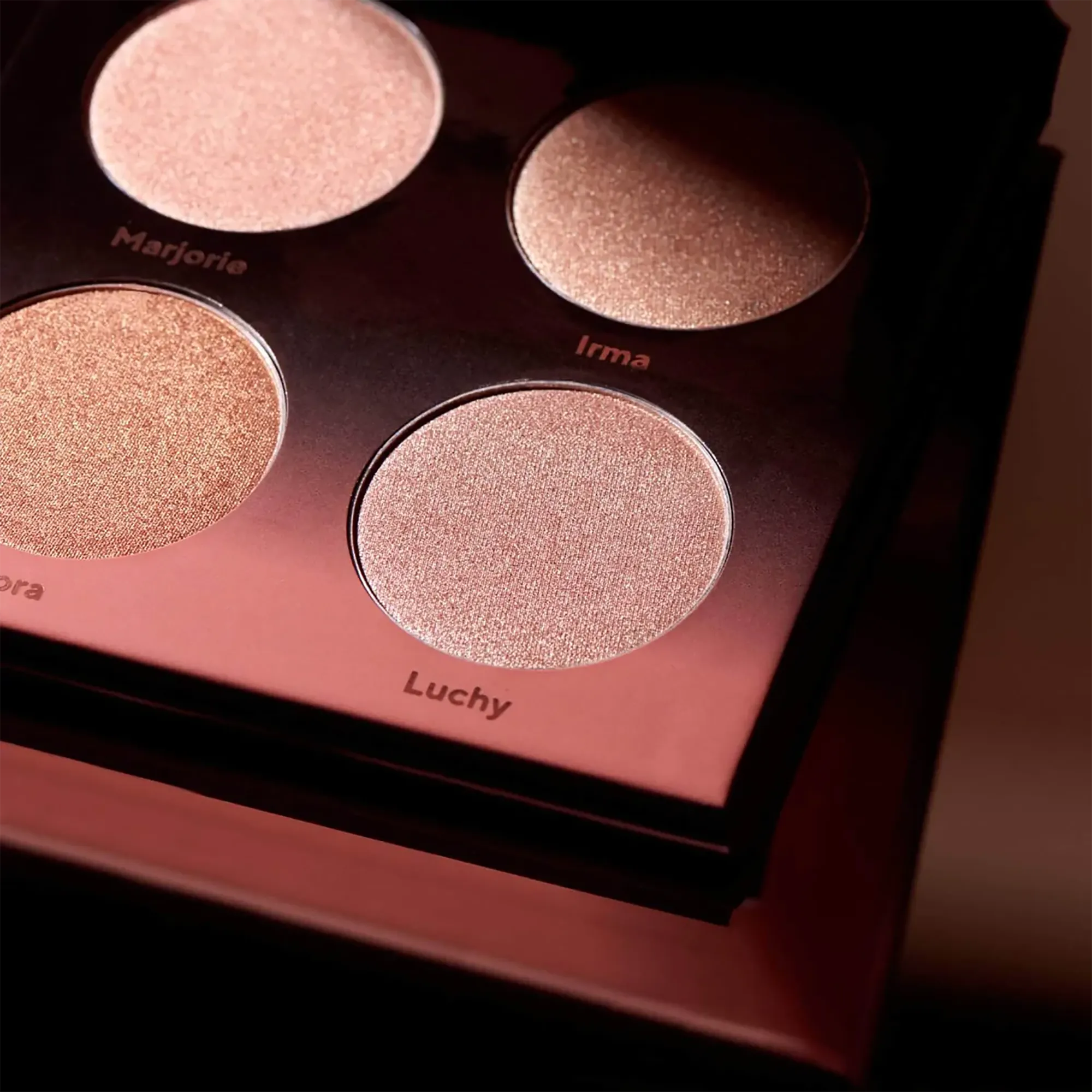 Shades by Shan The Highlighter Palette