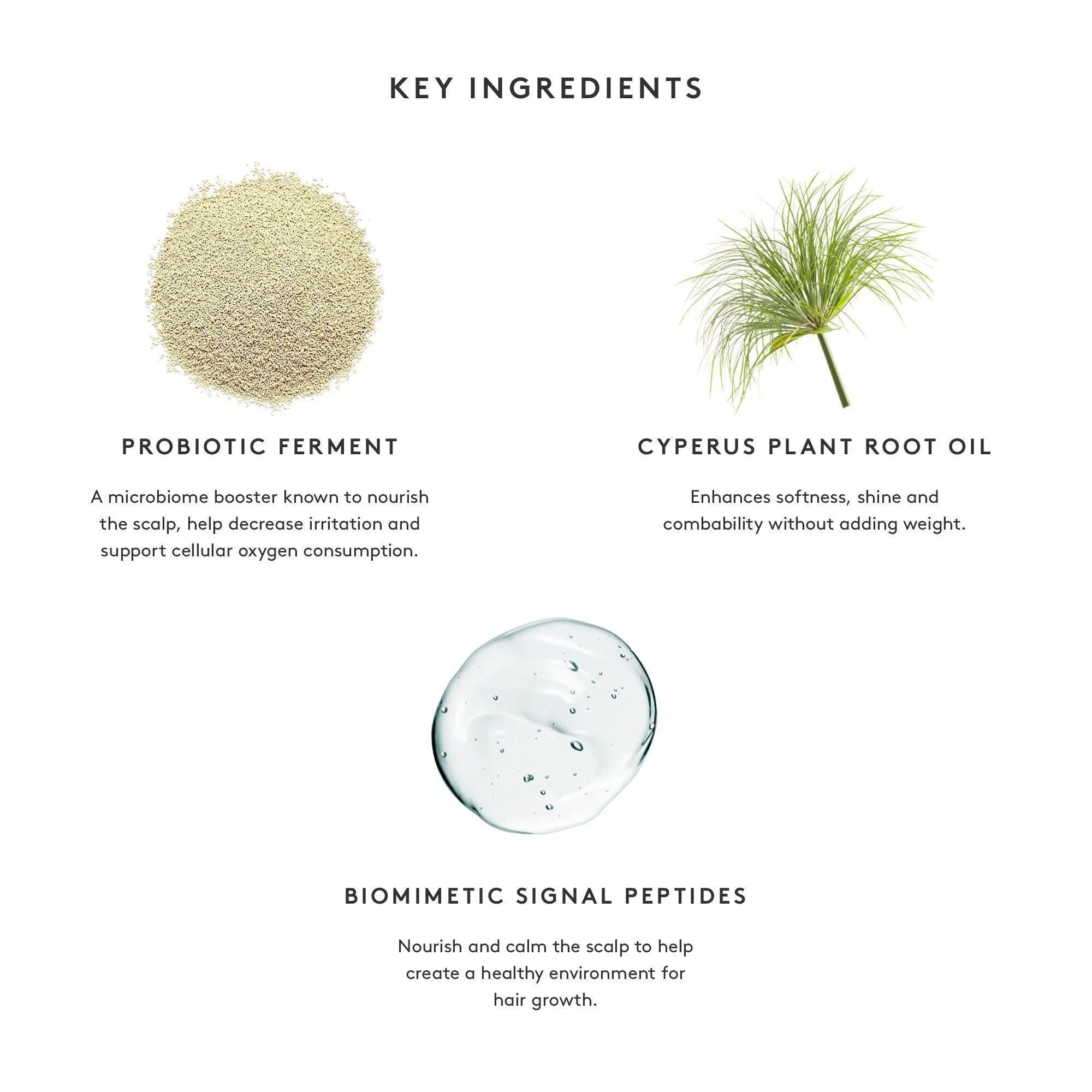 Virtue Flourish Conditioner